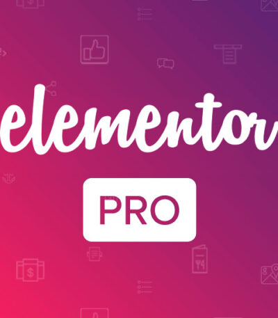 elementor pro plugin buy low price
